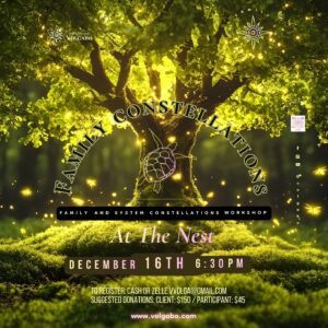 Family Constellations 12.16