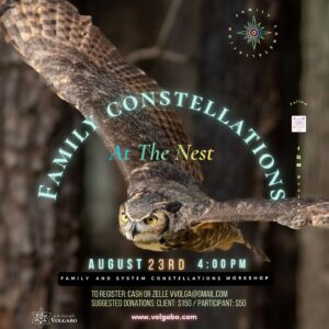 Family Constellations 08.23