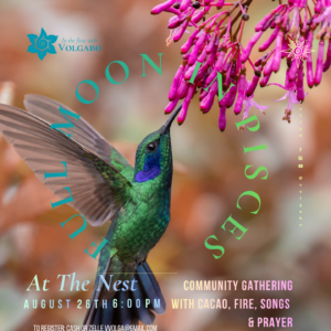 Lunar Eclipse in Pisces/Virgo - gathering at the NEST - Aug 26