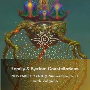 Family Constellations 11.22 Miami
