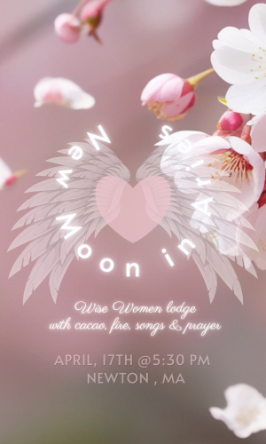 CARDS VOLGABO.com (1)