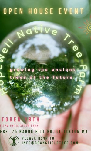 CONSTELLATIONS CARDS (3)