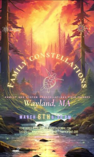 CONSTELLATIONS CARDS (5)